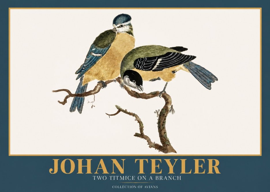 Johan Teyler Two Titmice on a Branch No2 - Plakat