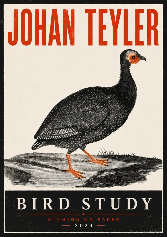 Johan Teyler Bird Study III No6 - Plakat
