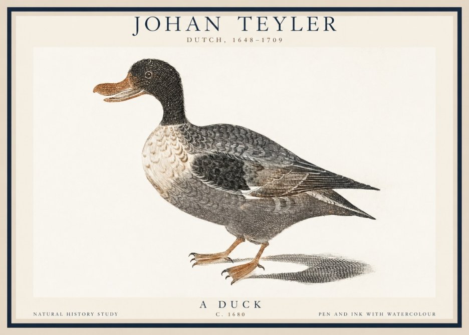 Johan Teyler Duck I No6 - Plakat