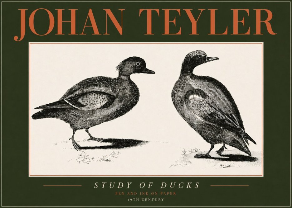 Johan Teyler Study of Ducks No4 - Plakat