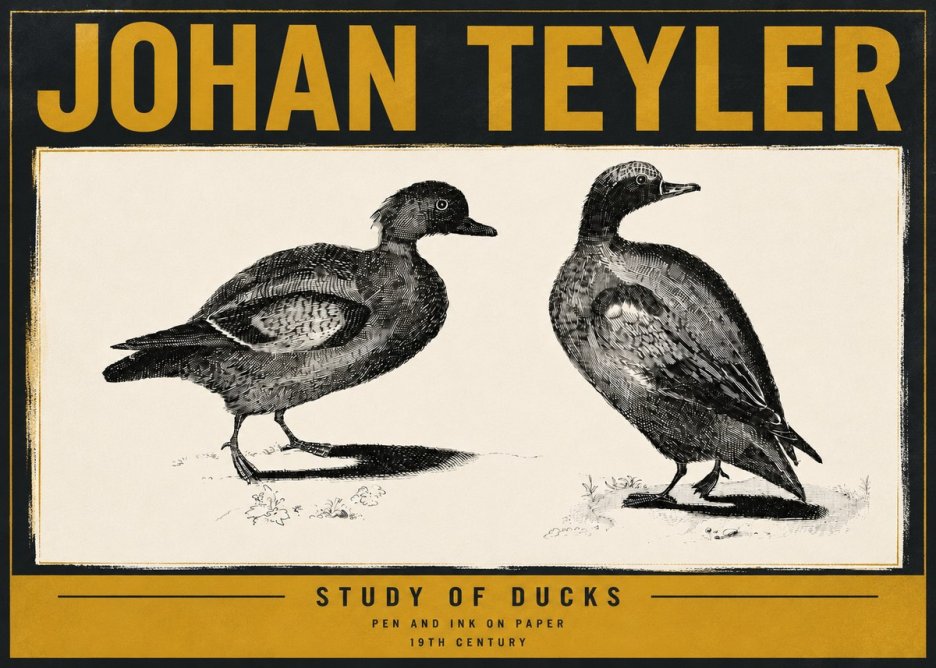 Johan Teyler Study of Ducks No6 - Plakat