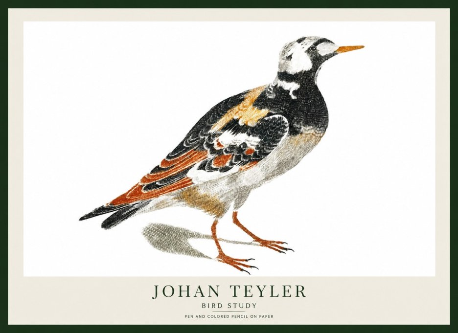 Johan Teyler Bird Study IV No1 - Plakat