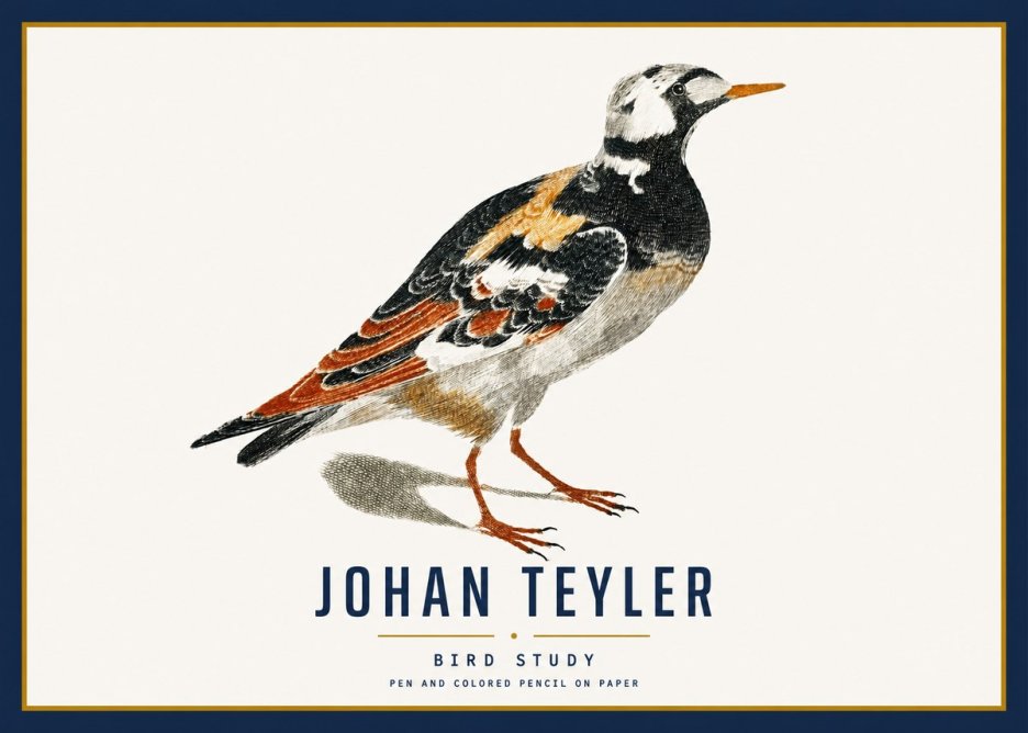 Johan Teyler Bird Study IV No3 - Plakat