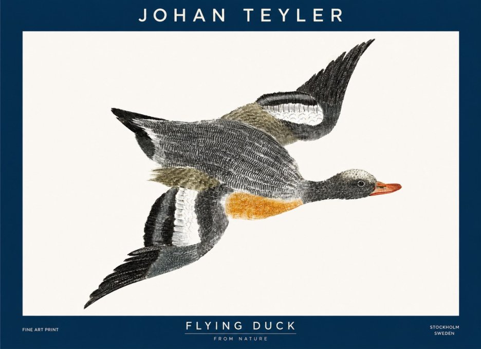 Johan Teyler Flying Duck No1 - Plakat