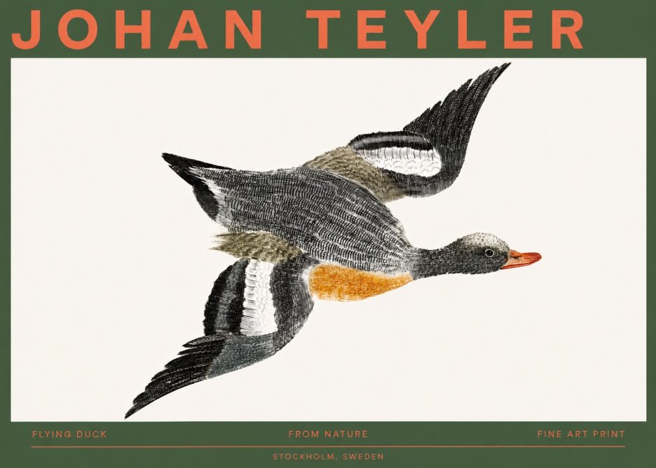 Johan Teyler Flying Duck No2 - Plakat