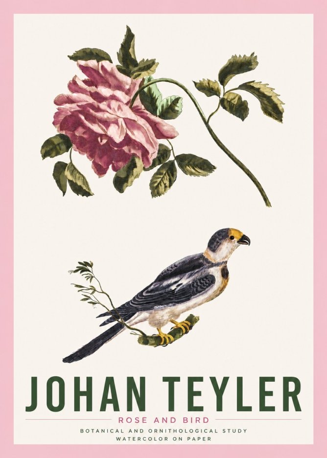 Johan Teyler Rose and Bird I No4 - Plakat