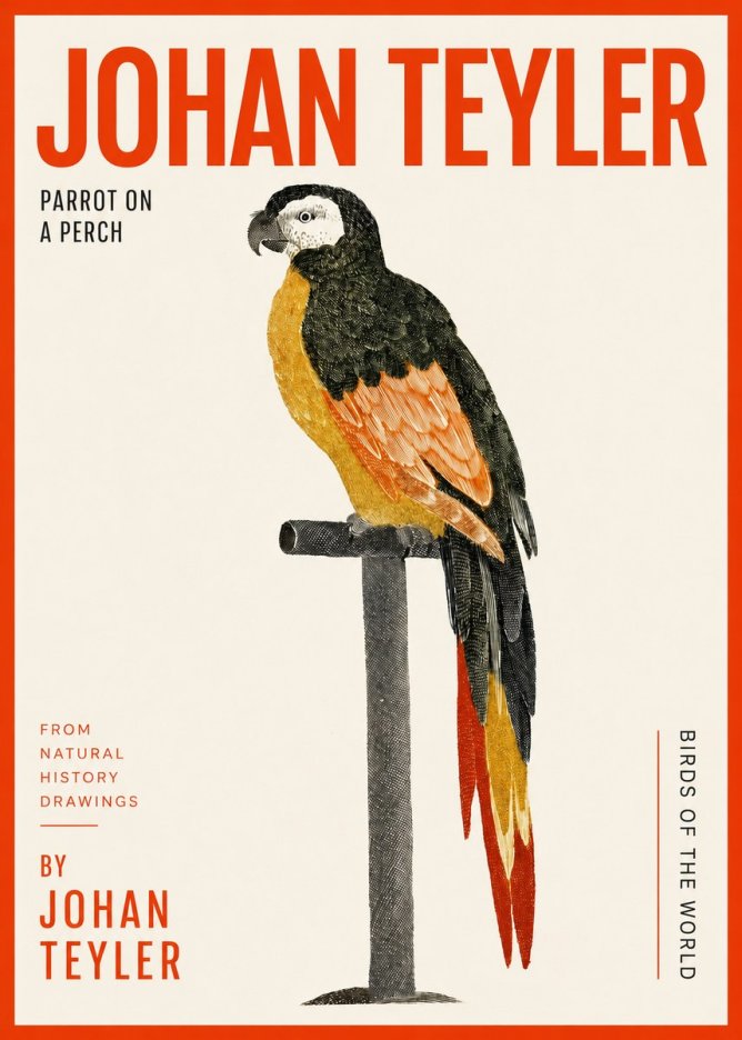 Johan Teyler Parrot on a Perch No2 - Plakat