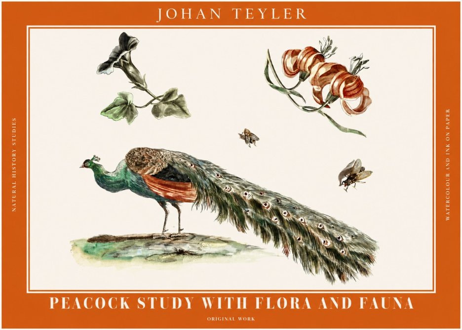 Johan Teyler Peacock Study with Flora and Fauna No2 - Plakat