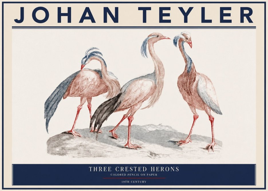 Johan Teyler Three Crested Herons No3 - Plakat