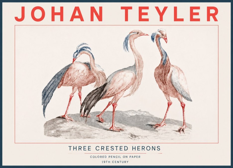 Johan Teyler Three Crested Herons No4 - Plakat