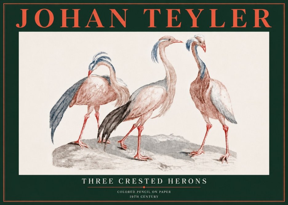 Johan Teyler Three Crested Herons No5 - Plakat