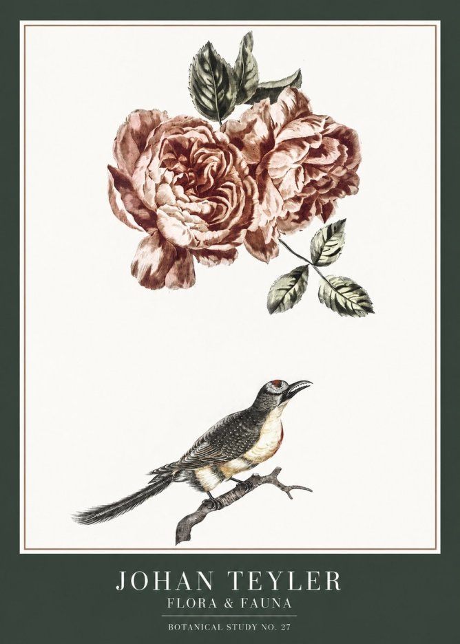 Johan Teyler Rose and Bird II No6 - Plakat