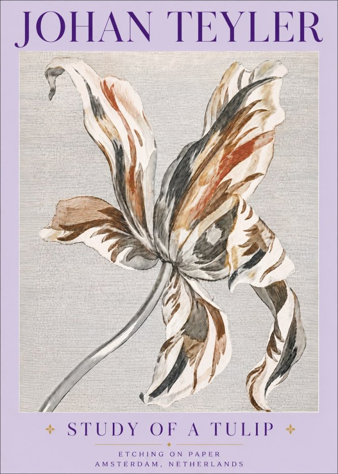 Johan Teyler Study of a Tulip No6 - Plakat