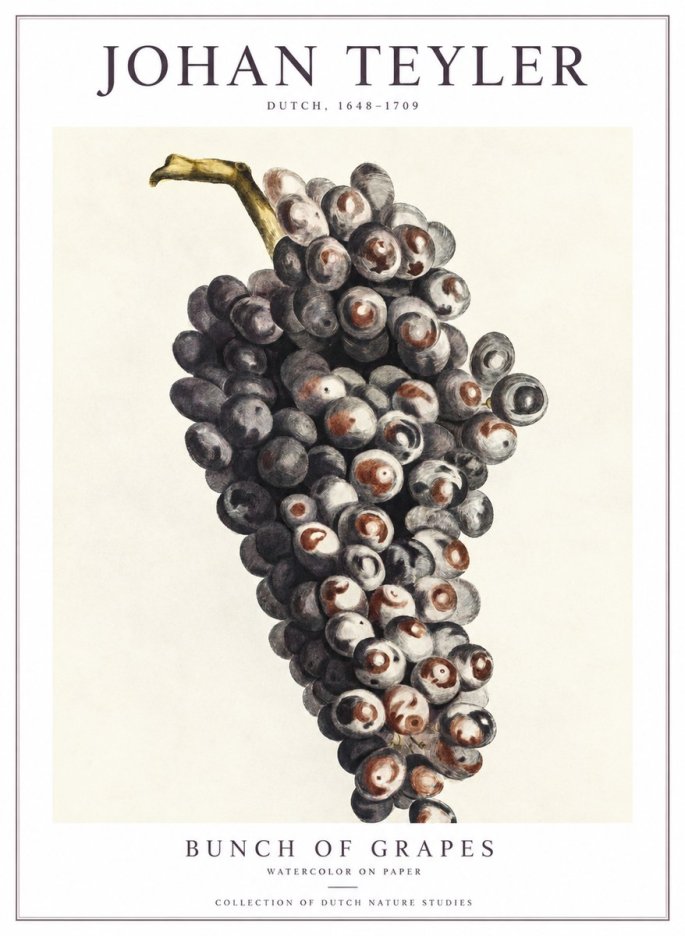 Johan Teyler Bunch of Grapes No1 - Plakat
