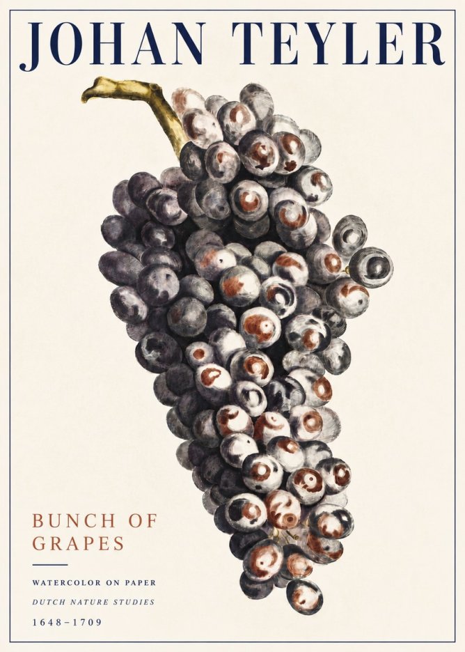 Johan Teyler Bunch of Grapes No5 - Plakat