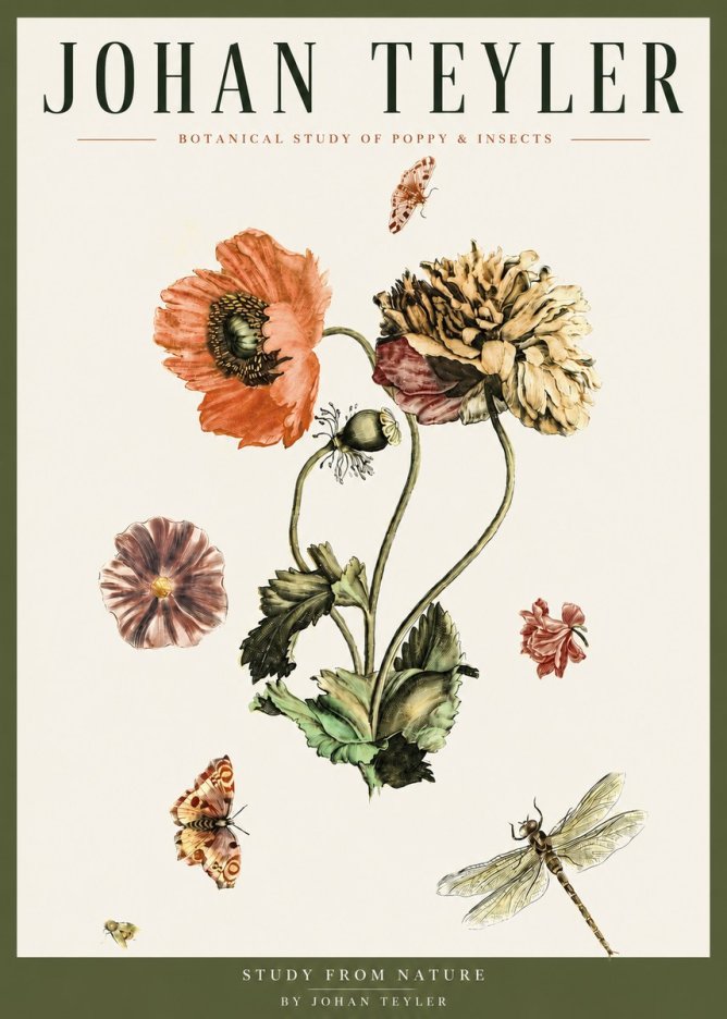 Johan Teyler Botanical Study of Poppy & Insects No3 - Plakat