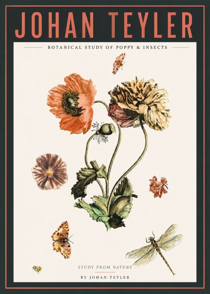 Johan Teyler Botanical Study of Poppy & Insects No4 - Plakat