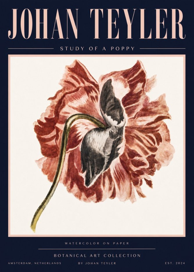 Johan Teyler Study of a Poppy No4 - Plakat
