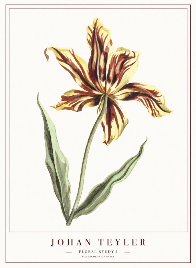 Johan Teyler Floral Study I No1 - Plakat