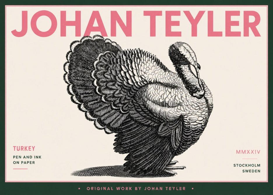 Johan Teyler Turkey No5 - Plakat