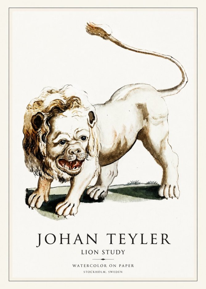 Johan Teyler Lion Study No1 - Plakat