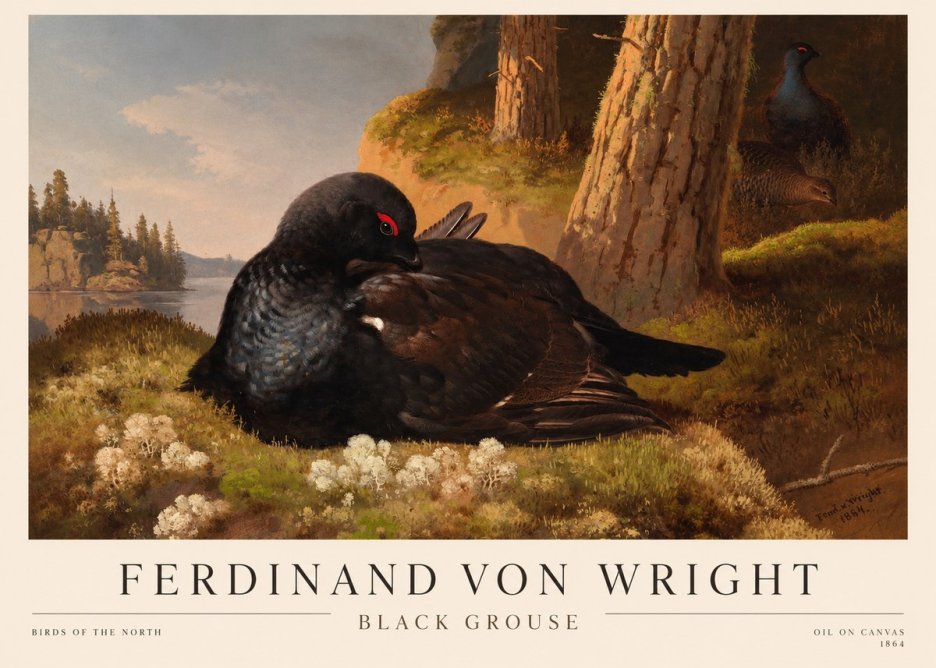 Ferdinand von Wright The Black Grouse No3 - Plakat