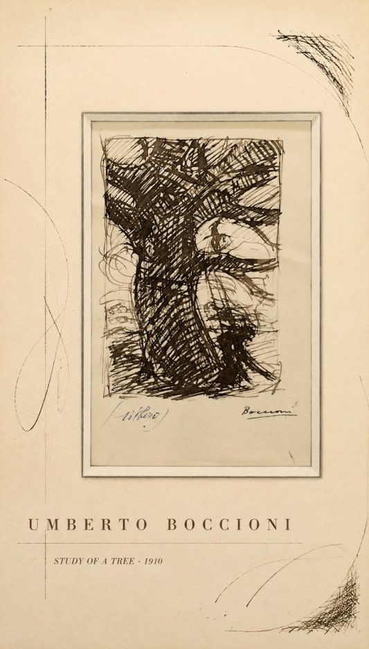 Umberto Boccioni Study of a Tree No5 - Plakat