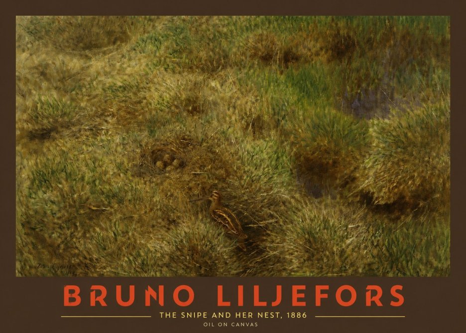 Bruno Liljefors The Snipe and Her Nest No2 - Plakat