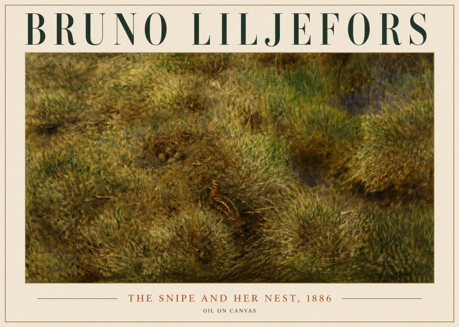 Bruno Liljefors The Snipe and Her Nest No6 - Plakat