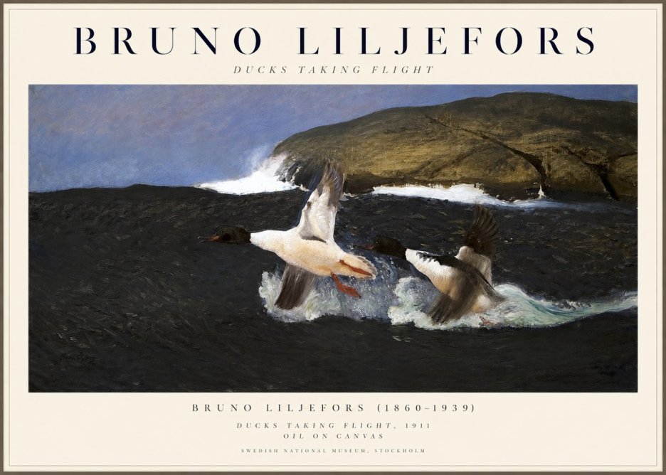 Bruno Liljefors Ducks Taking Flight No1 - Plakat