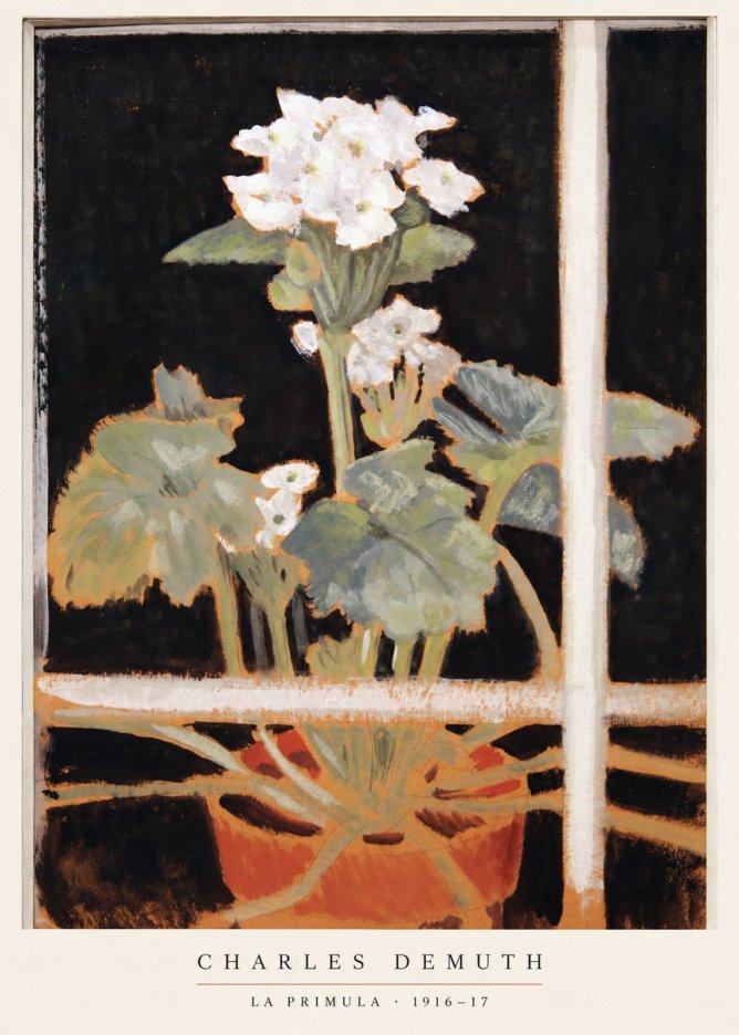 Charles Demuth La Primula No6 - Plakat