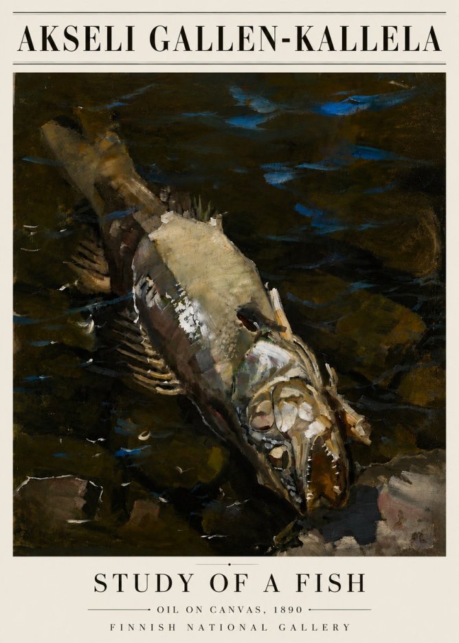 Akseli Gallen-Kallela Study of a Fish No6 - Plakat