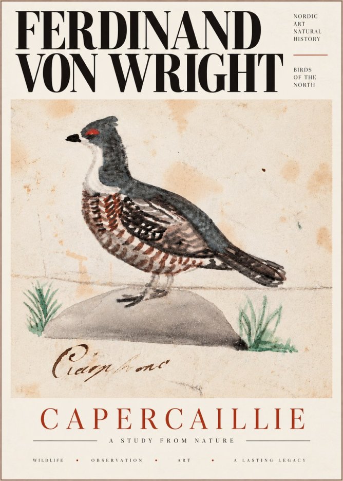 Ferdinand von Wright Grouse No6 - Plakat