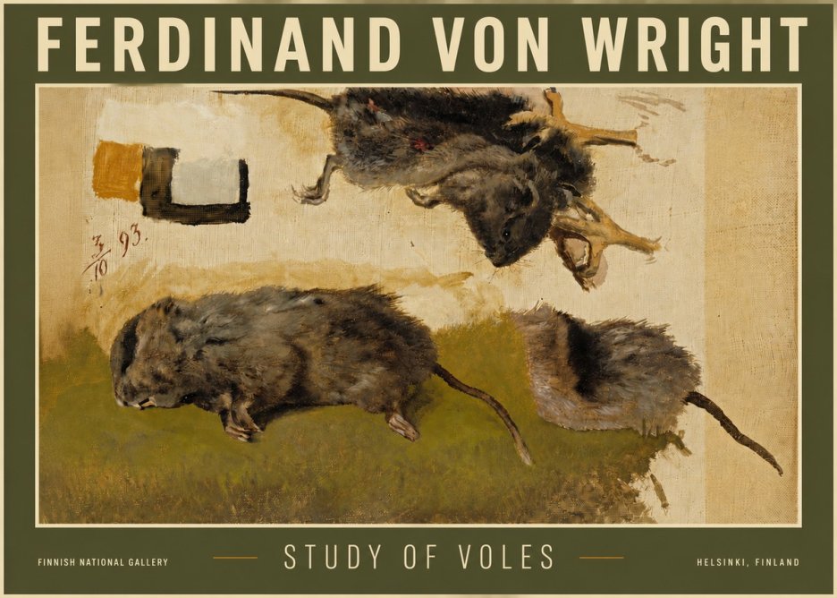Ferdinand von Wright Studies of Lemmings No6 - Plakat