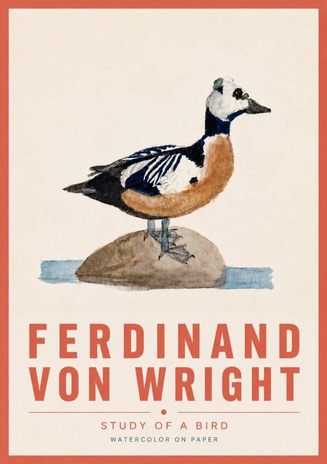 Ferdinand von Wright Study of a Bird No6 - Plakat
