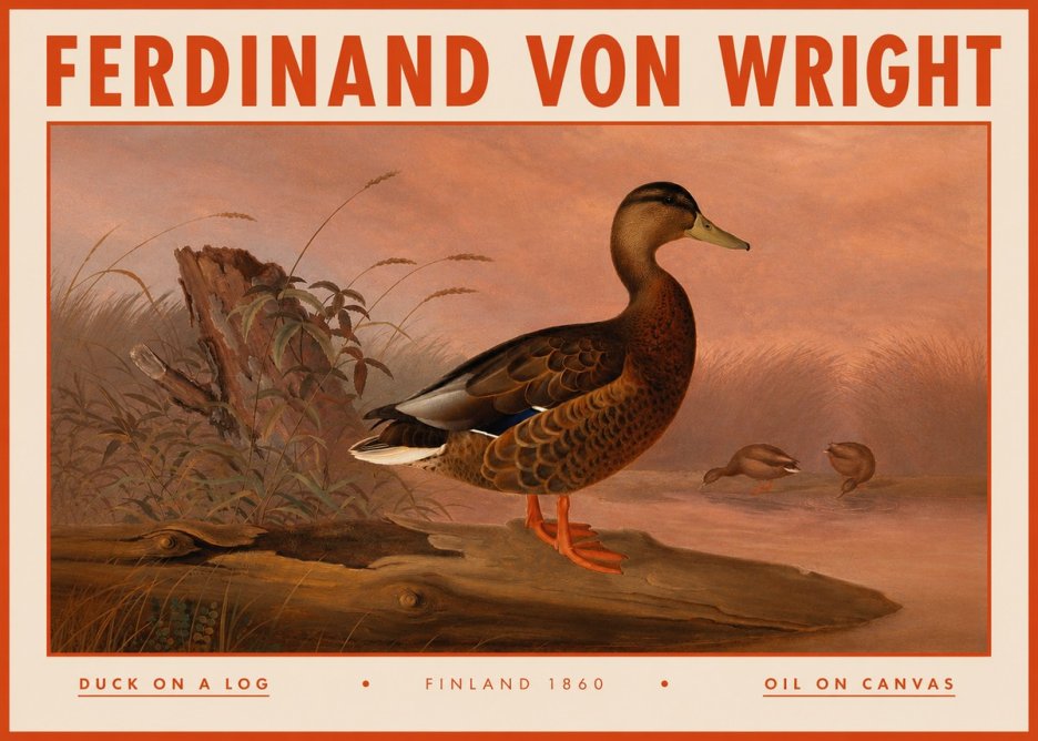 Ferdinand von Wright Wild Duck No5 - Plakat