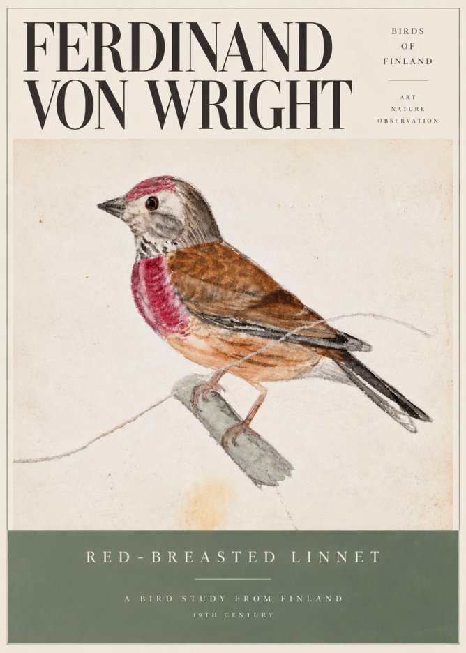 Ferdinand von Wright Bird Study No6 - Plakat