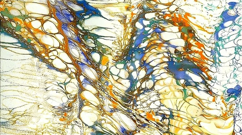 Uploaded
wallpaper