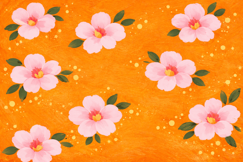 Uploaded
wallpaper