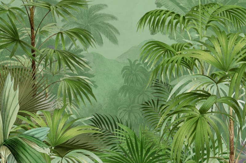 Uploaded
wallpaper