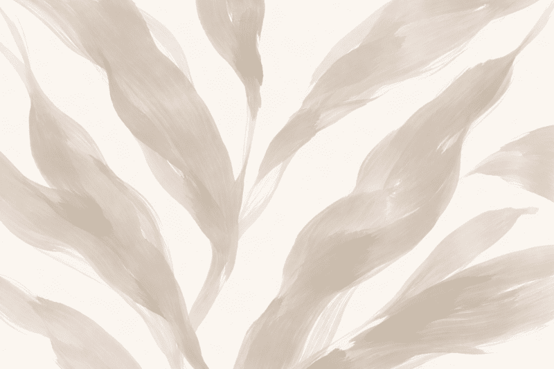 Uploaded
wallpaper