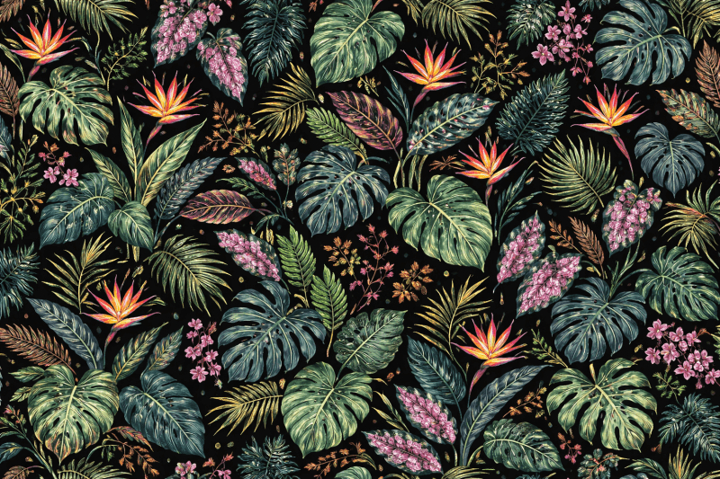Uploaded
wallpaper