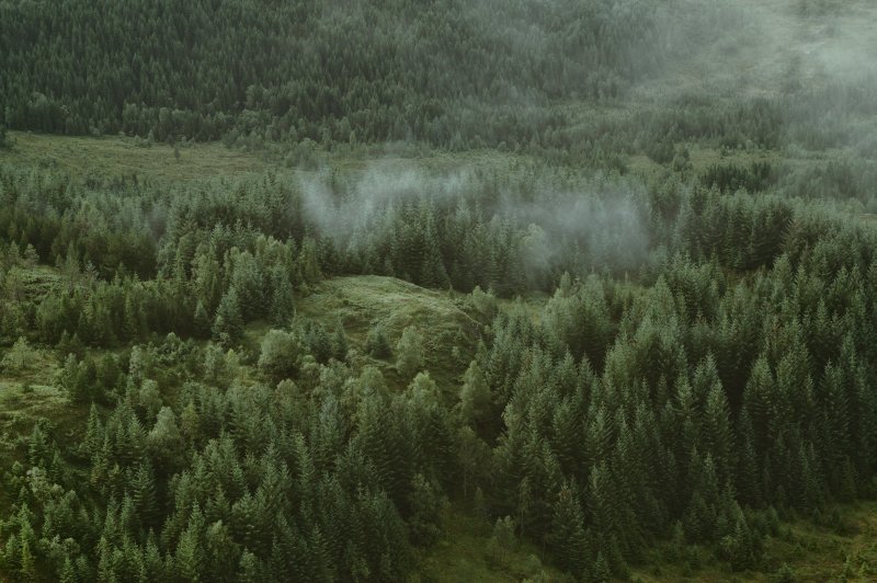 Uploaded
wallpaper