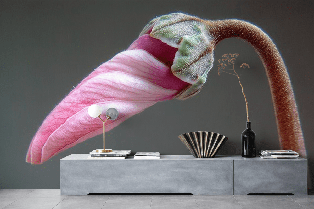 Crimson Whisp