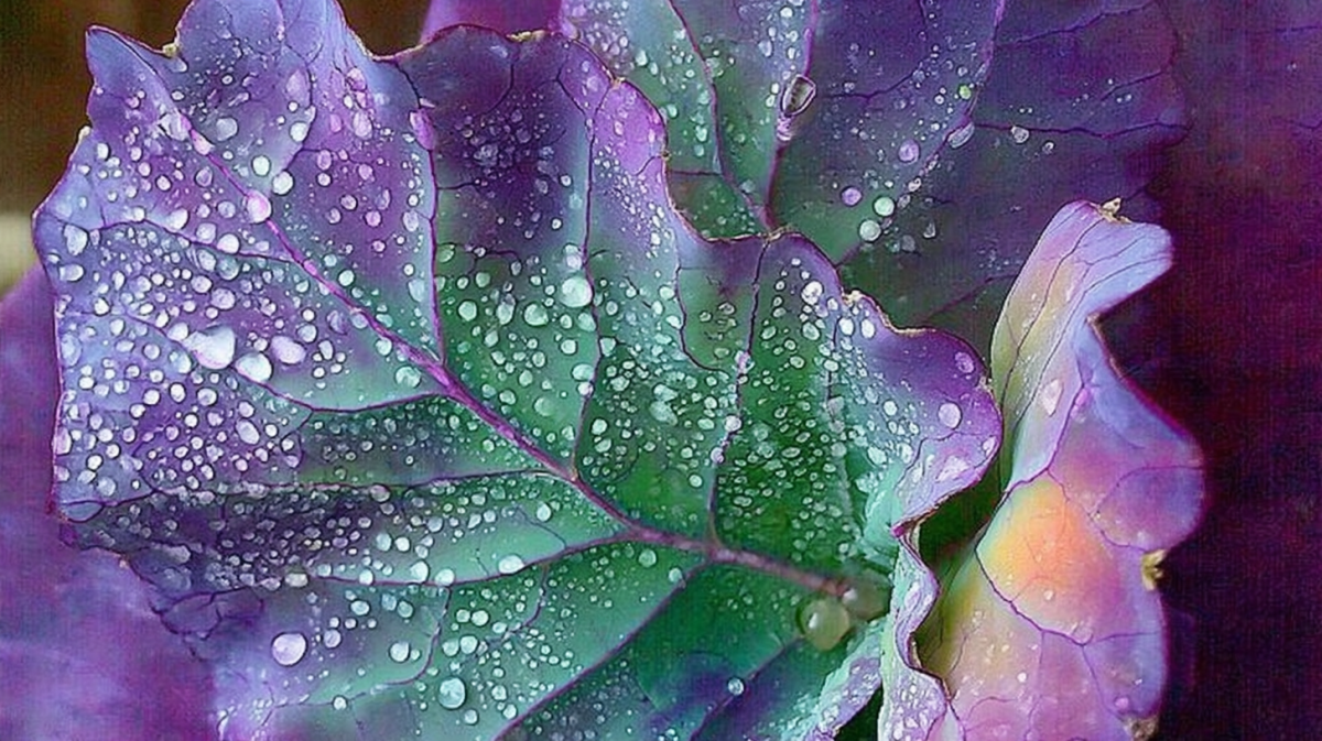 Iridescent Leaf