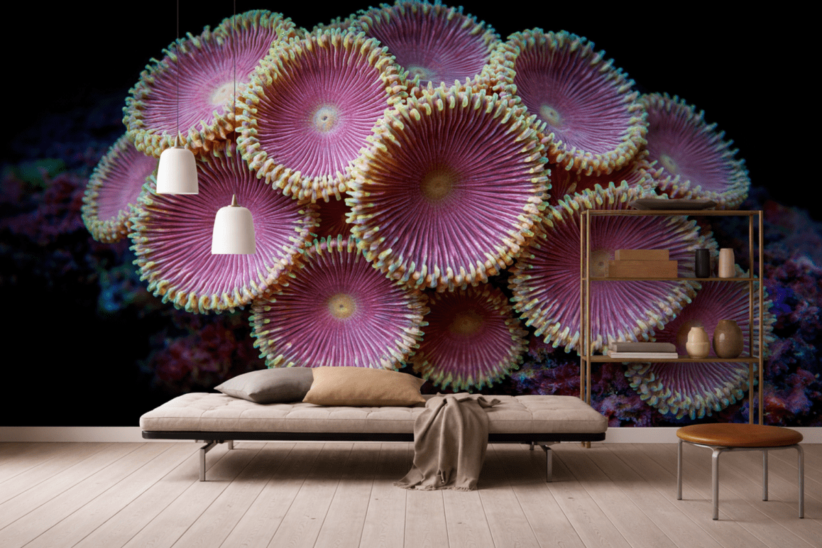 Blossom Array