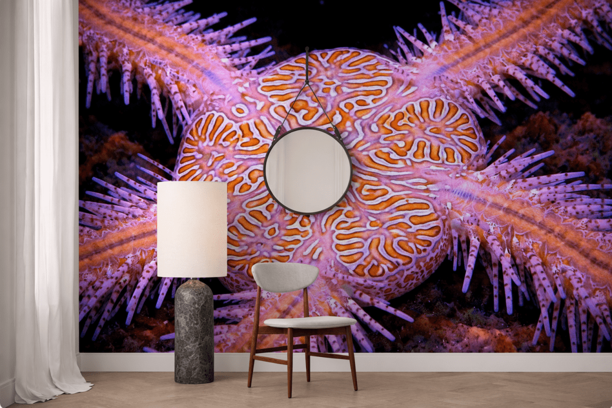 Coral Pattern Mosaic