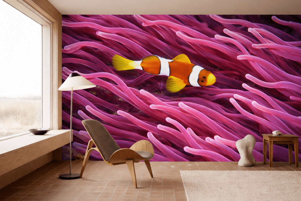 Coral Reef Enchantment