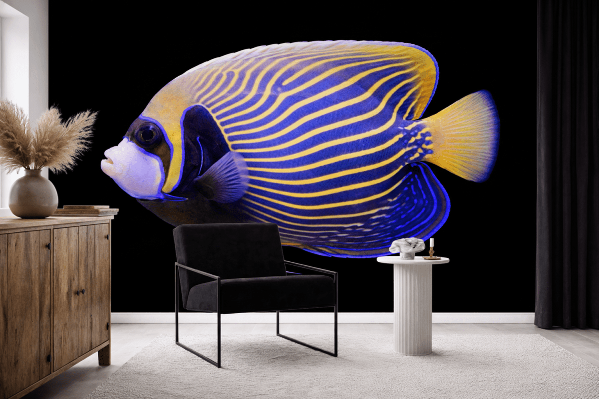 Regal Venturum