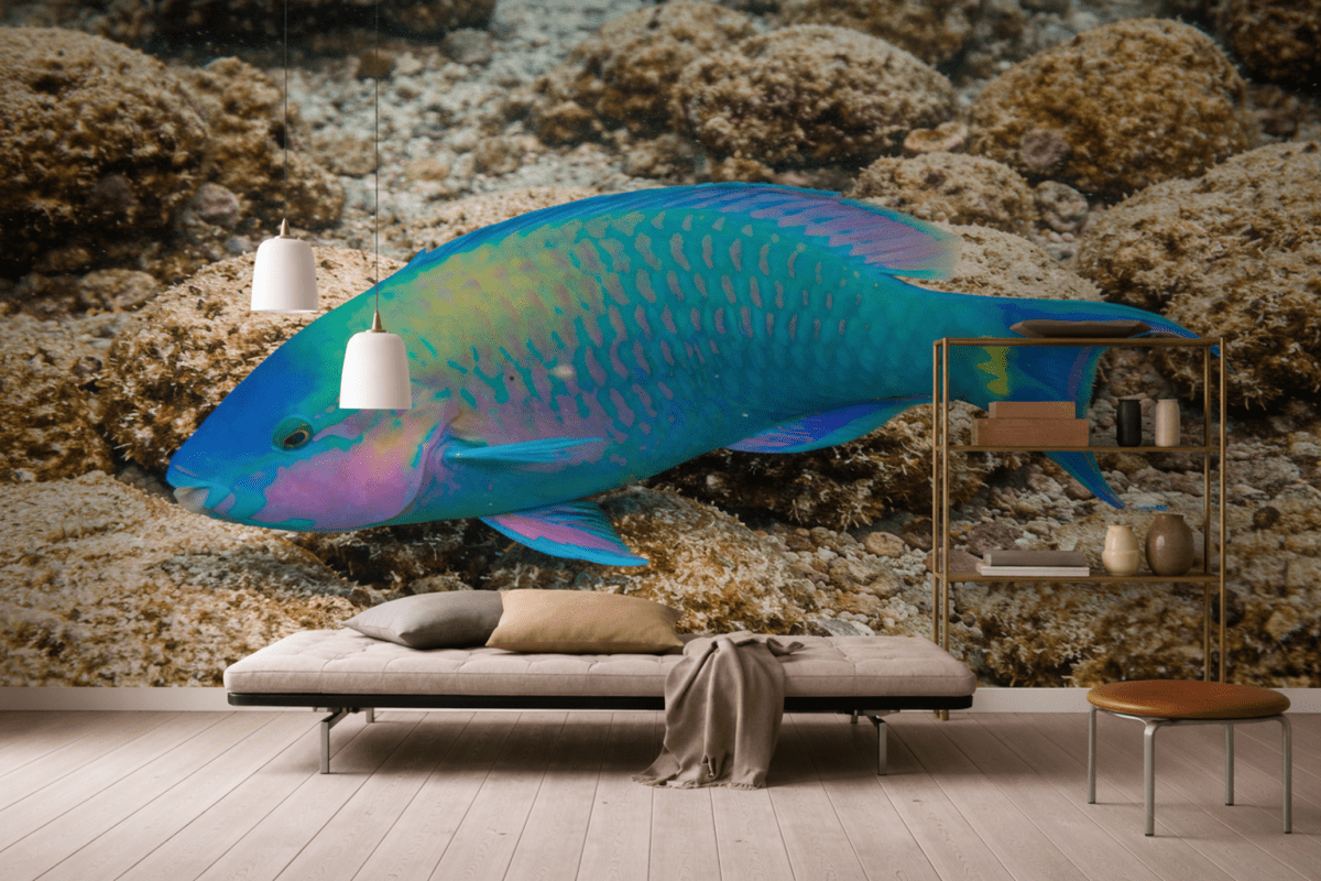 Tropical Reef Prism
